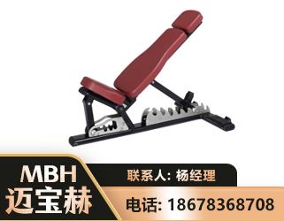 红河可调哑铃椅